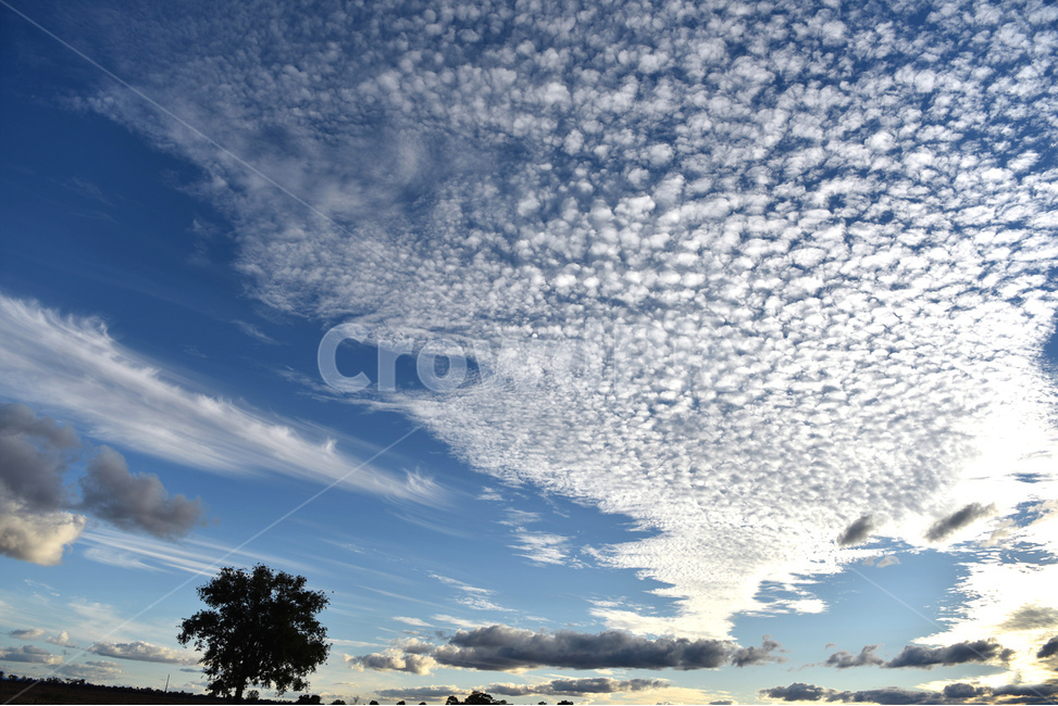 뭉게구름,양털구름,양떼구름,하늘,sky