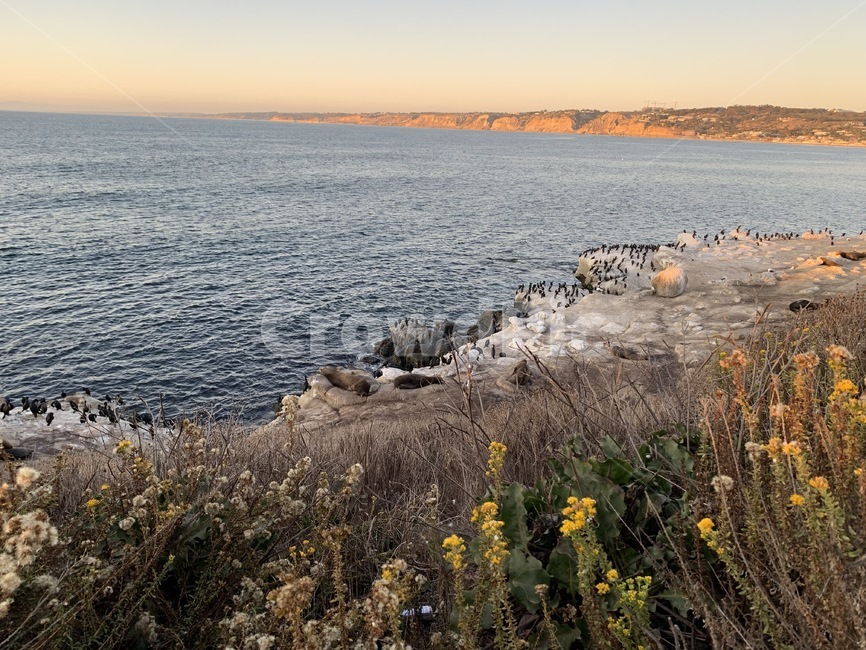바다,해변,샌디에고,하늘,노을,자연,경치,beach,sea,sunset,sky,view,nature,자연,풍경,nature,landscape