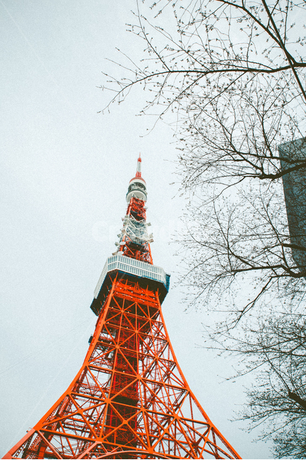 도쿄,도쿄타워,일본,빨간색,건축물,랜드마크,랜드마크,landmark,tourist attraction,해외,외국,세계,foreign,oversea,world,세계랜드마크,해외랜드마크,외국랜드마크,world landmark,world tourist attraction,건축물,건물외관,exterior,building,structure,architecture,construction,건물,tower,탑,spire,첨탑,steeple,뾰족한 탑