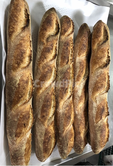 바게트,프랑스빵,불란서빵,갓나온빵,바게트빵,빵,음식,식재료,요리,food,cook,meal,dishes,food reserves,빵,bread