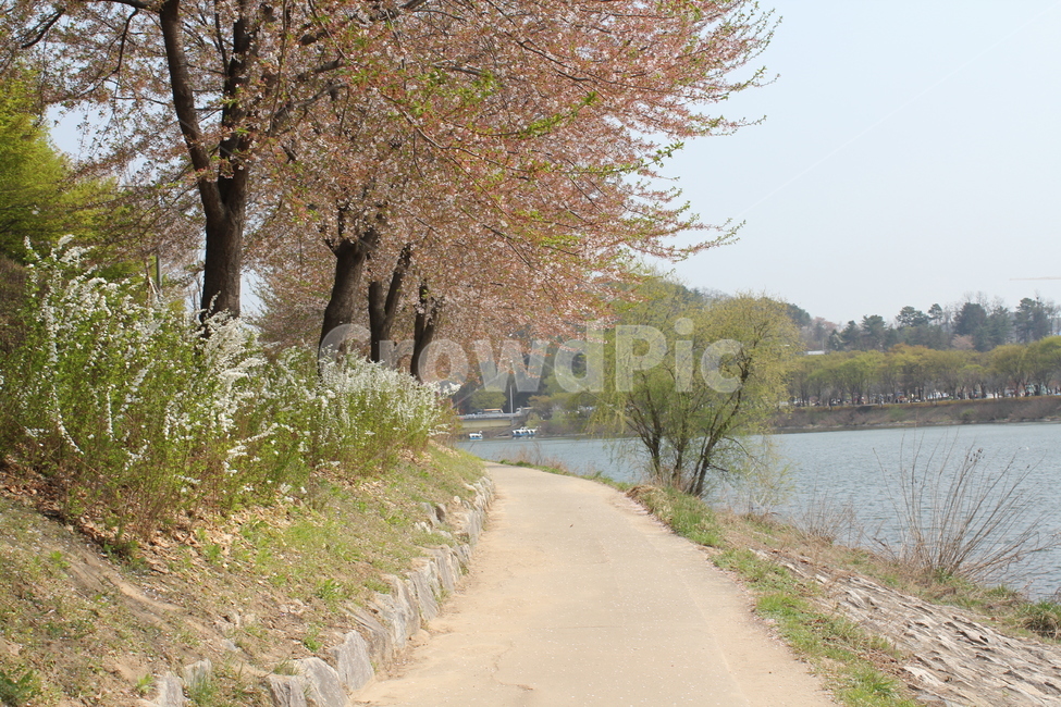 자연,식물,풍경,꽃,봄풍경,아름다움,식물,자연,plants,nature,꽃,flower