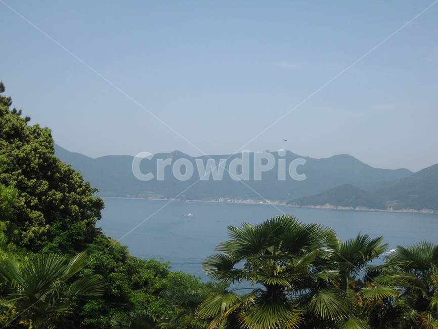 식물,tree,남해,plant,공원,자연,outdoors,옥외,countryside,한지방,hill,sea,ocean,초목,park,nature,풍경,국내여행