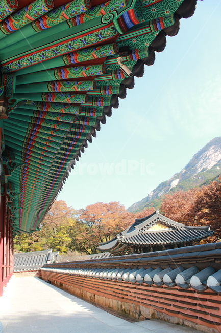 temple,신전,building,건물,architecture,건축물,전통가옥,한국전통,한국문화,korean traditional,korean culture