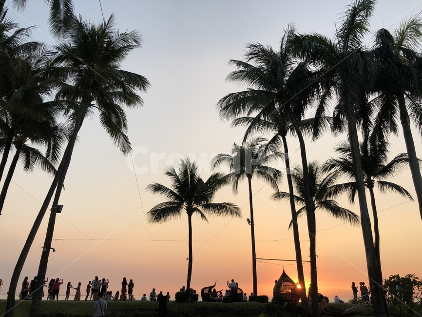노을,하늘,야자수,여름,선셋,sunset,붉은하늘,붉은노을