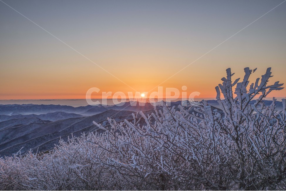 태백산,설산,상고대,눈꽃,일출,아침,겨울,겨울,계절,winter,season,자연,풍경,nature,landscape,outdoors,옥외
