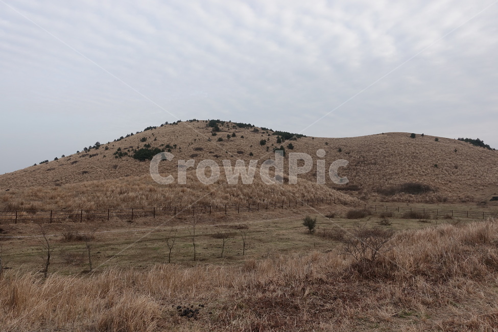 제주도,용눈이오름,오름,제주여행,풍경,자연,jeju,landscape,경치,여행,하늘,산,구름