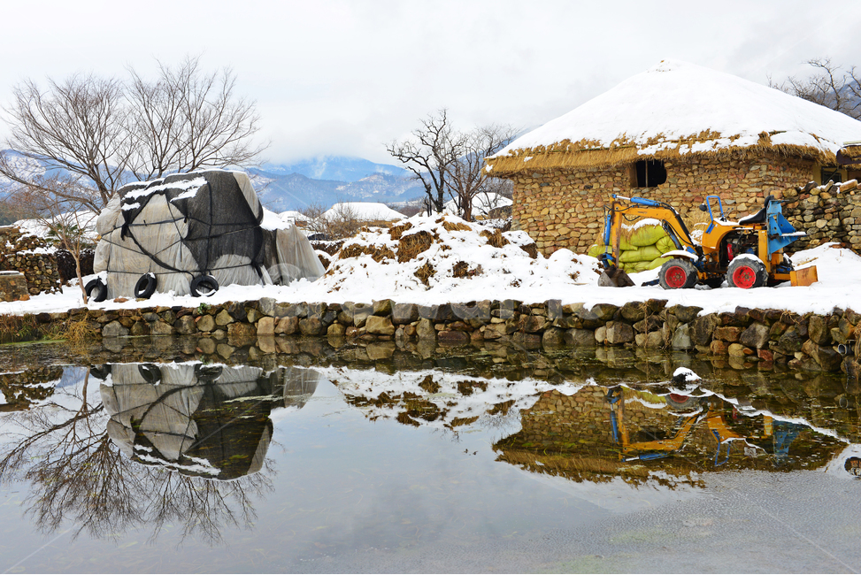 전남,순천,낙안읍성,낙안읍성설경,겨울,계절,운해,설경,nature,초가지붕,초가집,민속마을,낙안읍성민속마을,자연,outdoors,옥외,housing,주택,hut,오두막,rural,농촌,human,인간,person,사람,plant,식물,tree,나무,연못,반영,겨울,계절,winter,season,시골,마을,풍경,landscape,country,rural,town,한국전통,한국문화,korean traditional,korean culture