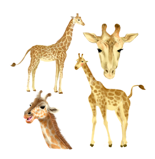 기린,기린일러스트,기린그림,동물,동물일러스트,giraffe,giraffeillustration,illustration,animal,animalillustration,그래픽,일러스트레이션,graphic,illustration