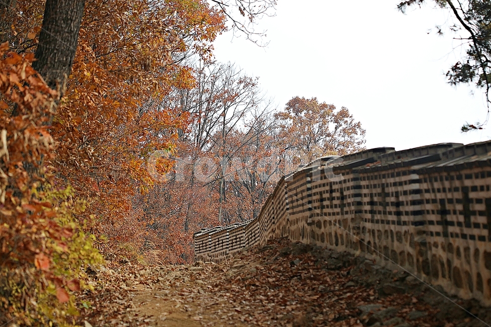 남한산성,성곽,성,단풍,낙엽,길,둘레길,숲,숲길,담,돌담,가을,자연,풍경,벽,울긋불긋,산성,식물,가을,계절,fall,autumn,season,한국전통,한국문화,korean traditional,korean culture,ground,바닥