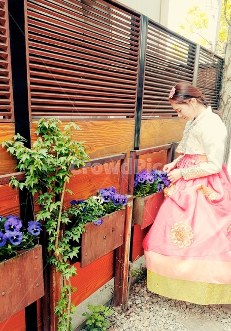 apparel,의복,clothing,의류,한복,한옥