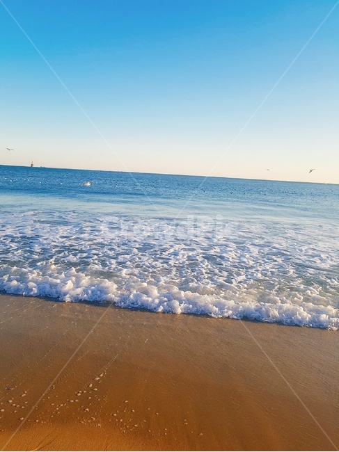 부산,겨울,바다,겨울바다,파란,하늘,해변,모래사장,파도,비스듬한,해변,바다,beach,sea