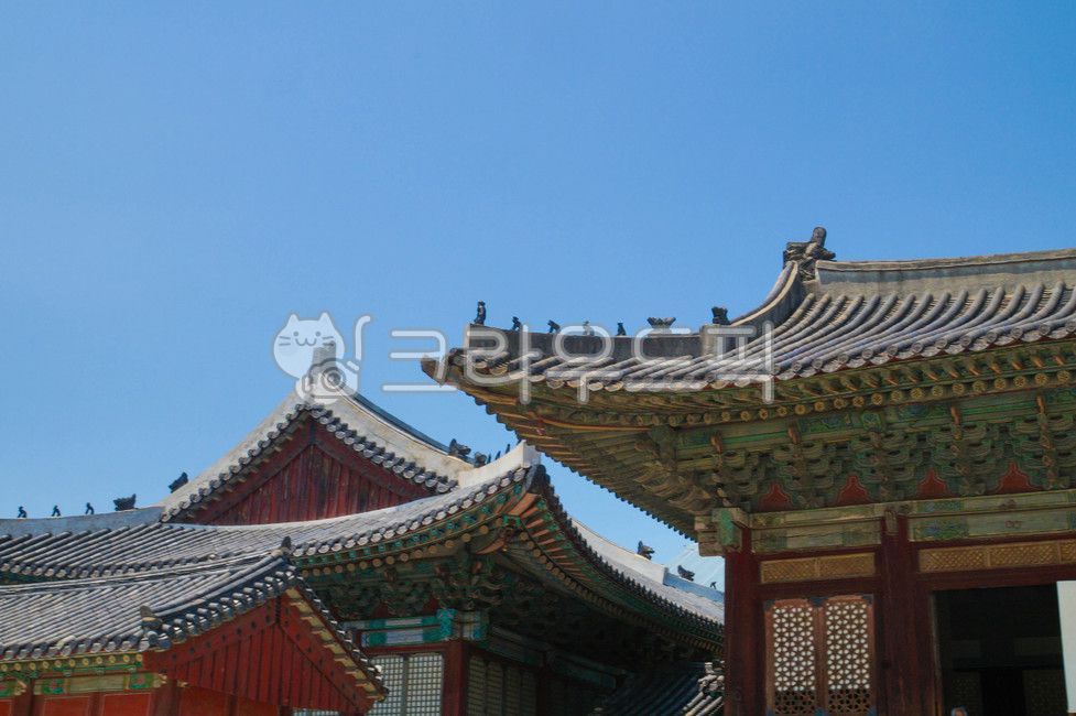 창경궁,건축물,건물,architecture,building,기와,잡상,어처구니,전각,처마,한국전통,한국문화,korean traditional,korean culture,건축물,건물외관,exterior,building,structure,architecture,construction