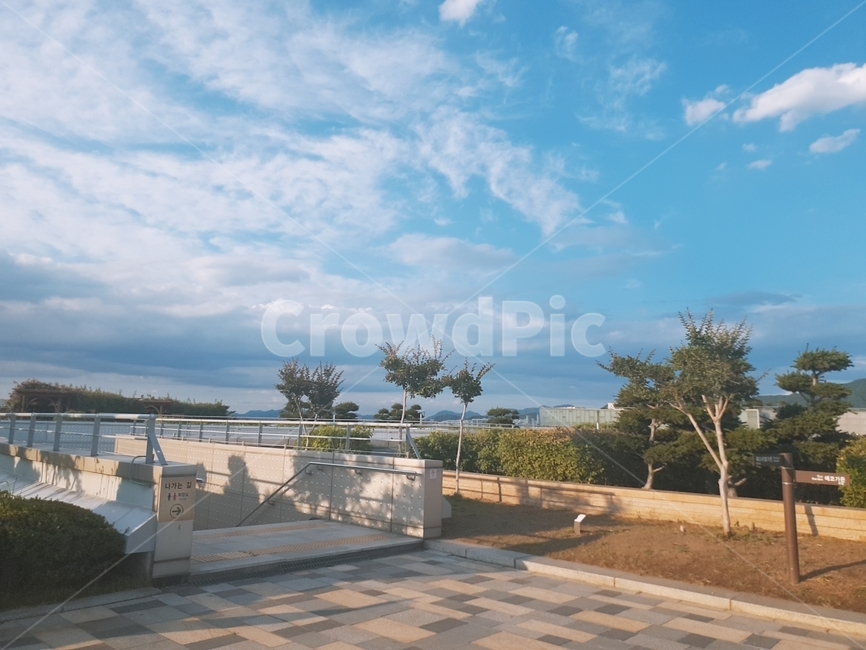 예쁜배경,구름,하늘,옥상,sky,landscape,scene,나무,tree,계단,맑은날씨,하늘색