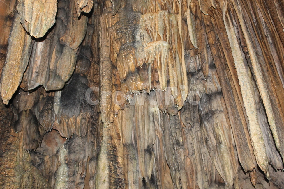 종유석,온달동굴,석회암동굴,한국의동굴,석주,자연,풍경,nature,landscape,cave,동굴