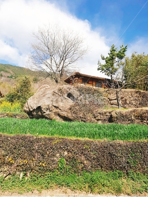 하동마을,초가집,초가집풍경,시골풍경,소박한,봄풍경,자연,풍경,nature,landscape,시골,마을,country,rural,town,outdoors,옥외,building,건물