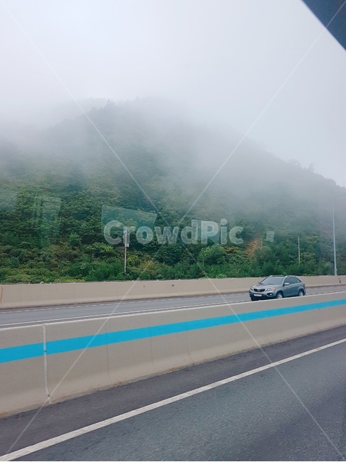 안개,도로,풍경,날씨,fog,교통,교통수단,traffic,transportation