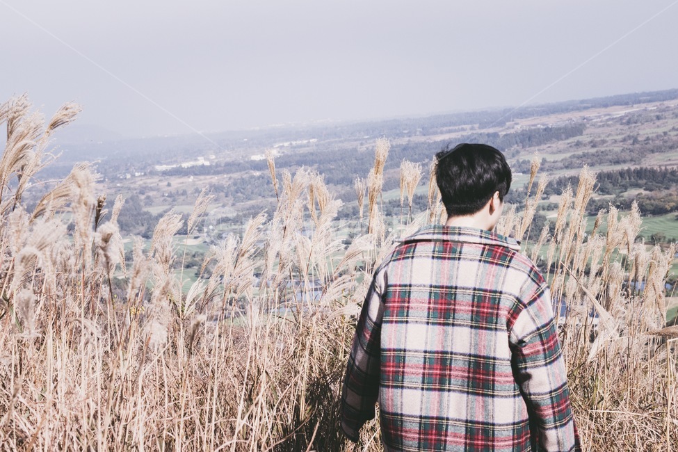 갈대,억새,가을,공원,산책,쓸쓸,가을,계절,fall,autumn,season,사람,인물,인간,human,person,남성,남자,man,male,감성,sensible,feeling,고독함,외로움,쓸쓸함,우울함,슬픔,lonely,solitary,grass,잔디,plant,식물,nature,자연,outdoors,옥외