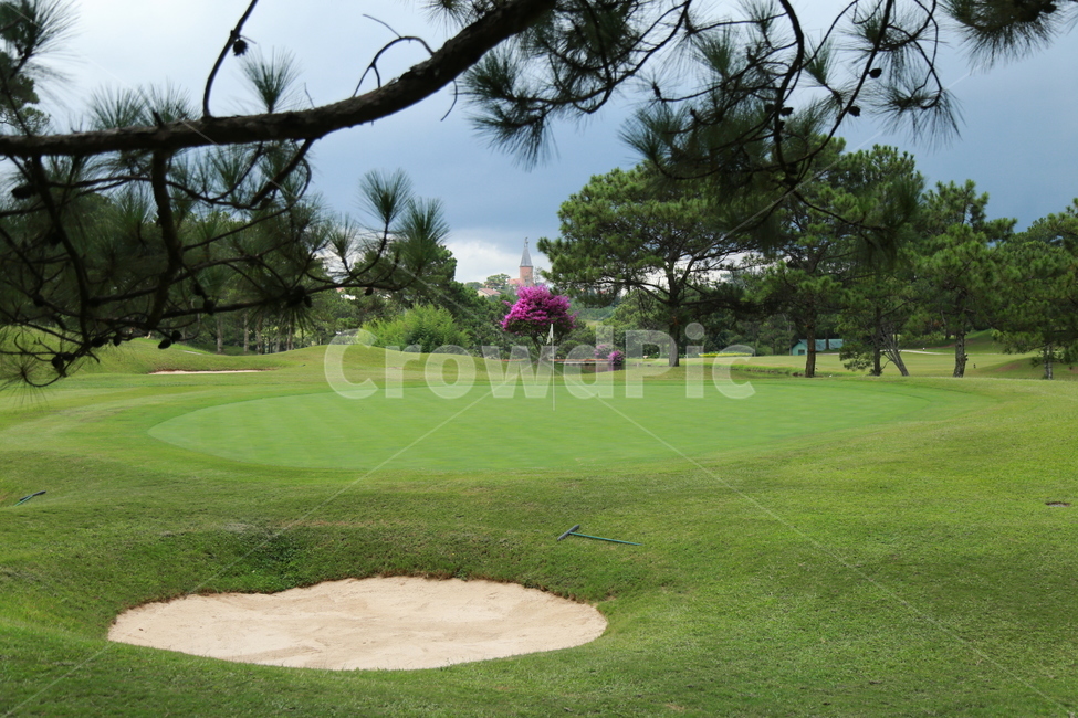 field,들,outdoors,golfcourse,골프코스,골프,그린,풍경,golf,green,자연,nature