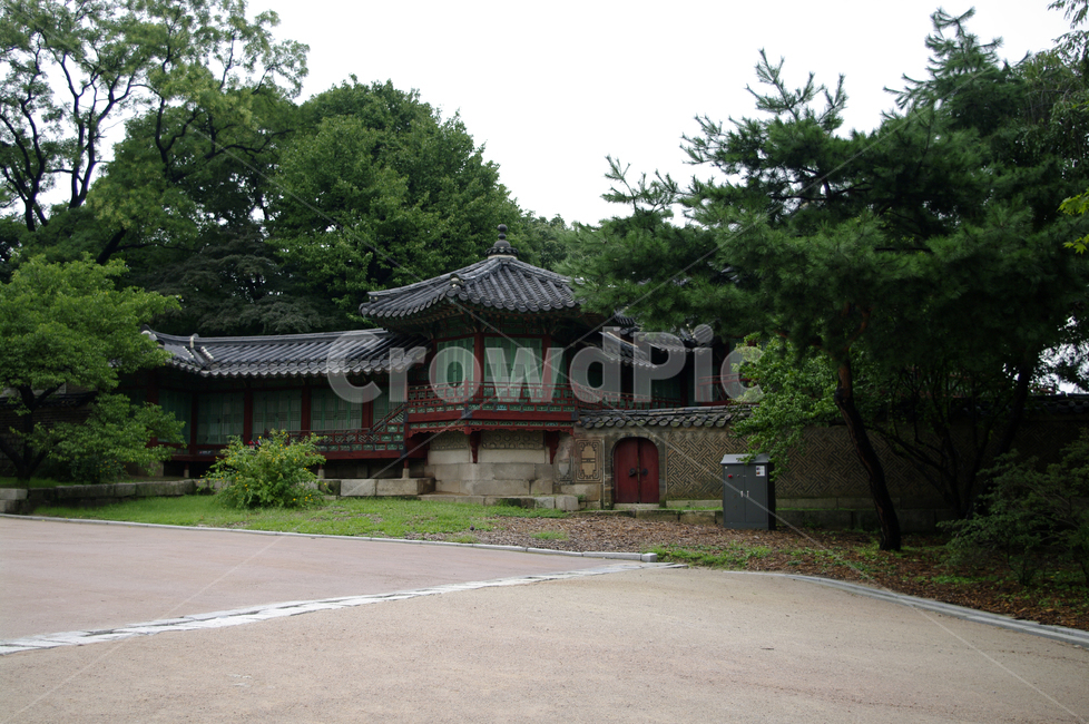 창덕궁,고궁,전각,한옥,전통가옥,기와지붕,건축,traditional,한국전통,한국문화,korean traditional,korean culture,랜드마크,landmark,tourist attraction,한국랜드마크,한국관광지,한국명소,korea landmark,korea tourist attraction,건축물,건물외관,exterior,building,structure,architecture,construction