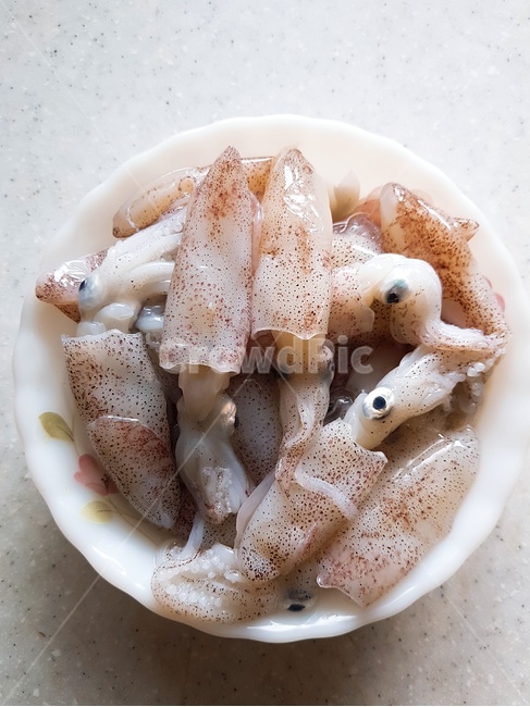 호래기,꼴뚜기,food,bekasquid,연체동물,수산물,해산물,fishery products,seafood