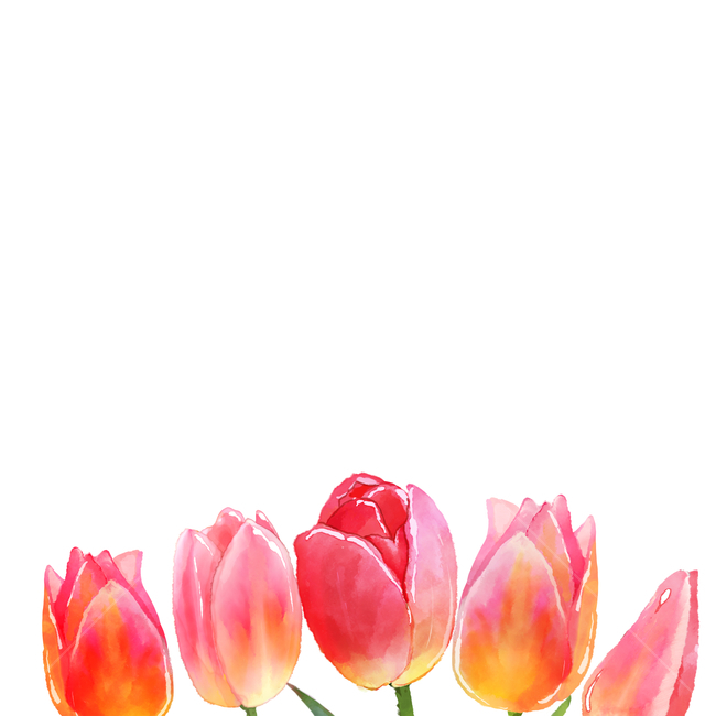 꽃,일러스트,이벤트,백그라운드,세일,할인,초대장,카드,표지,편집,편집디자인,브로슈어,브로셔,비주얼,vip,럭셔리,고급,프리미엄,결혼,웨딩카드,웨딩,마음,일러스트레이션,그리기,곱다,수채화,디자인,자연,축하,아트,책,잎사귀,잎,풍성하다,분홍,핑크,잎파리,배경,봄,튤립,빨강,레드,붉다,초록,튤립축제,꽃,flower,그래픽,일러스트레이션,graphic,illustration