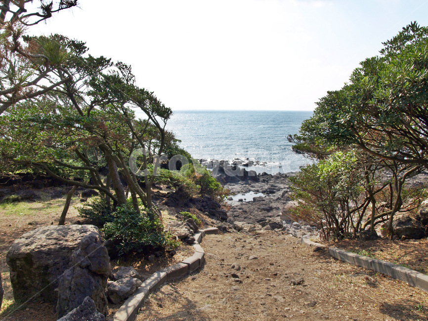 해병대길,올레4코스,올레길,제주,서귀포시,도로,바다,자연,풍경,nature,landscape,제주도,jeju,jeju island,dirt road,흙길,road,gravel,자갈,tree,나무,plant,식물