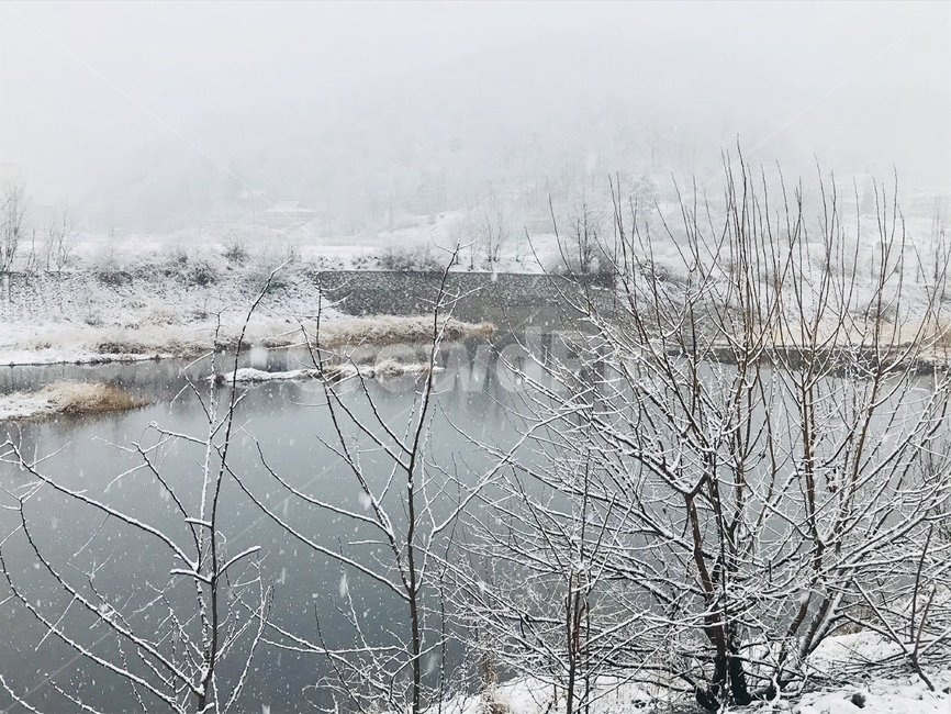 산,하천,강에눈내리는모습,나무눈,안개눈,겨울,계절,winter,season,자연,풍경,nature,landscape,outdoors,옥외