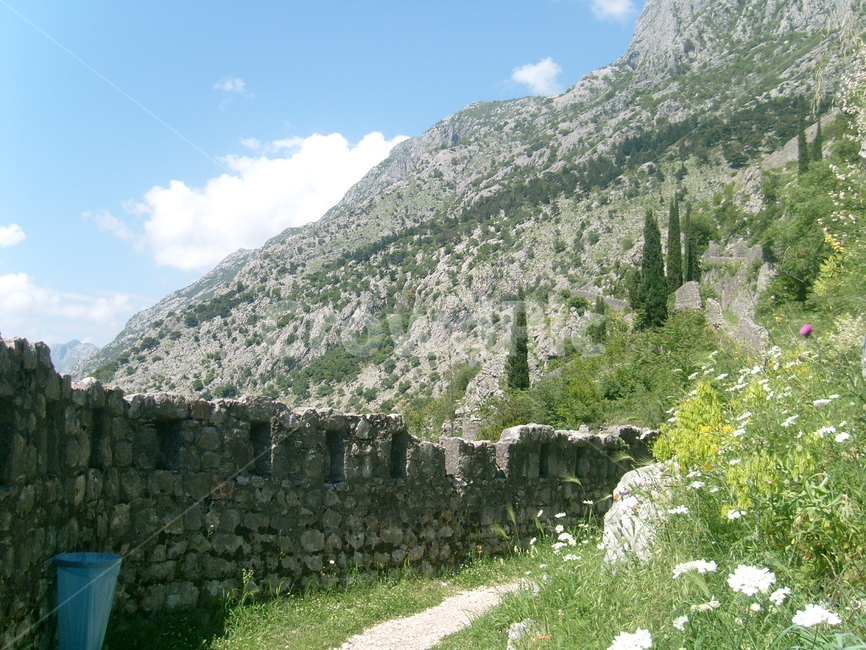 mountain,ocean,Kotor,adriatic sea,balkan peninsula,sight,montenegro,foreign country