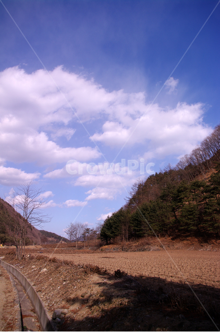 하늘,구름,겨울,나무,풍경,자연,풍경,nature,landscape,dirt road,흙길,road,도로,gravel,자갈,ground,바닥,outdoors,옥외