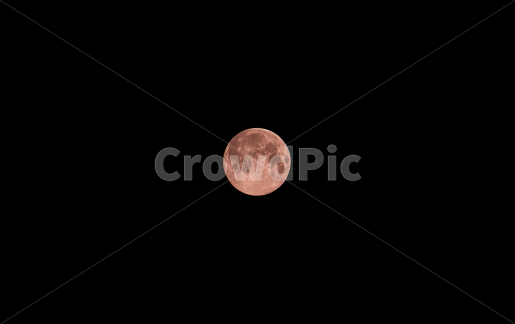 달,슈퍼문,supermoon,moon,핑크문,보름달,우주,야경,pinkmoon,하늘,밤하늘,밤,과학,천문학,달빛,빛,위성,자연위성,천체,구,구체,원형,원,자연,수퍼문,수퍼,슈퍼,핑크,문,달무늬,달표면,무늬,대기권밖,패턴,표면,소망,소원,기도,어두운,야외,배경,바탕,백그라운드,fullmoon,night,sky,luna,lunar,moonlight,moonsurface,natural,nature,black,light,bright,full,super,pink,round,circle,satellite,science,astronomy,space,outerspace,sphere,surface,universe,beautiful,beauty,celestial,dark,hope,wish,wishing,outdoor,outdoors,background,야경,밤,풍경,nightscape,night,landscape