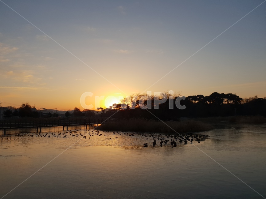일출,호수,풍경,청둥오리,하늘,nature,자연,outdoors,옥외,dusk,황혼,sunset,일몰,dawn,새벽,sky,red sky,붉은 하늘