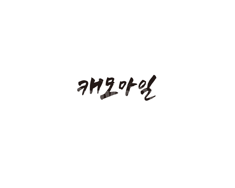 차,tea,음료,캐모마일,캘리,캘리그라피,허브,그래픽,일러스트레이션,graphic,illustration,캘리그라피,손글씨,calligraphy