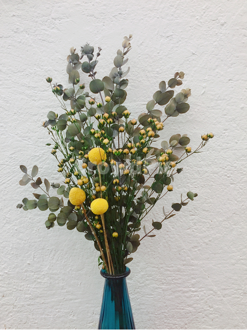plant,식물,꽃,조화,노란색,화병,yellow,green