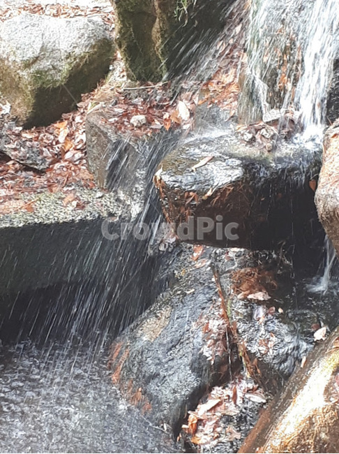 폭포,물,시원함,낙엽,차가운,개울가,자연,풍경,nature,landscape,water,outdoors,옥외,river,강