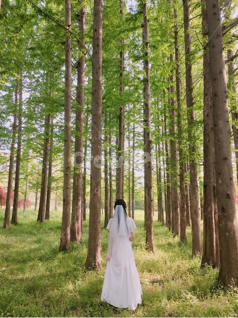 웨딩,셀프웨딩,예신,예비신부,wedding,nature