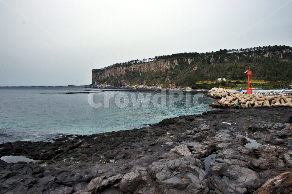 박수기정,제주도,서귀포시,대평포구,등대,화산암,바다,방파제,테트라포드,제주도,jeju,jeju island
