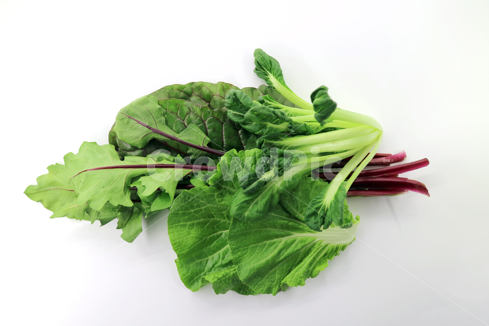 쌈채소,채소,야채,음식,식재료,food,모듬채소,모듬쌈,건강,웰빙,다이어트,샐러드,요리,식품,싱싱한,신선한,fresh,오브젝트,누끼,봄동,치커리,적근대,비타민,음식,식재료,요리,food,cook,meal,dishes,food reserves,채소,야채,vegetables,누끼,remove background