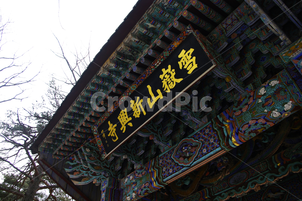 신흥사,사찰,절,전통,건축,기와,지붕,temple,건물,building