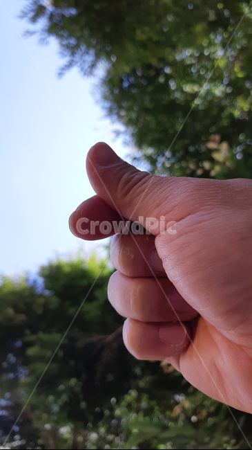 finger,손가락,손하트,하트,손가락하트,산,자연,사랑,아웃포커스,감성,감성사진,인간,인물,hand,식물,평안,평온,사람