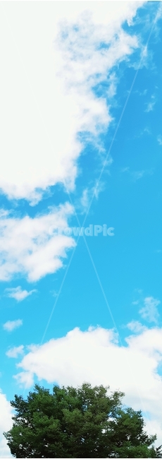 하늘,구름,나무,풍경,푸른색,자연,풍경,nature,landscape,sky,azure sky,푸른 하늘,outdoors,옥외