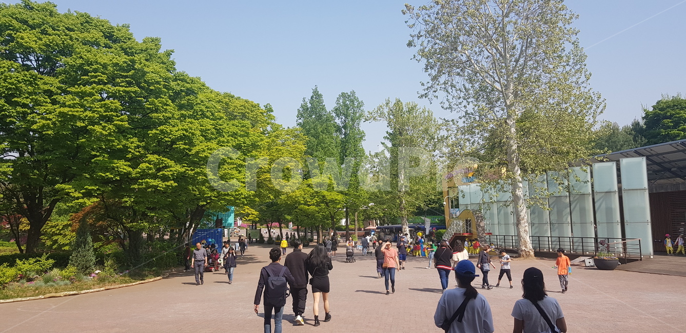 공원,밝은날씨,상쾌함,맑은공기,드넓은