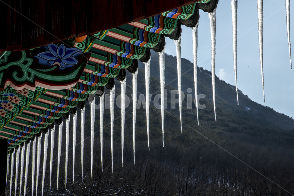 Icicles on the eaves,outdoors,nature,eaves,Winter in Dancheong,temple,winter,winter temple,ice,icicle