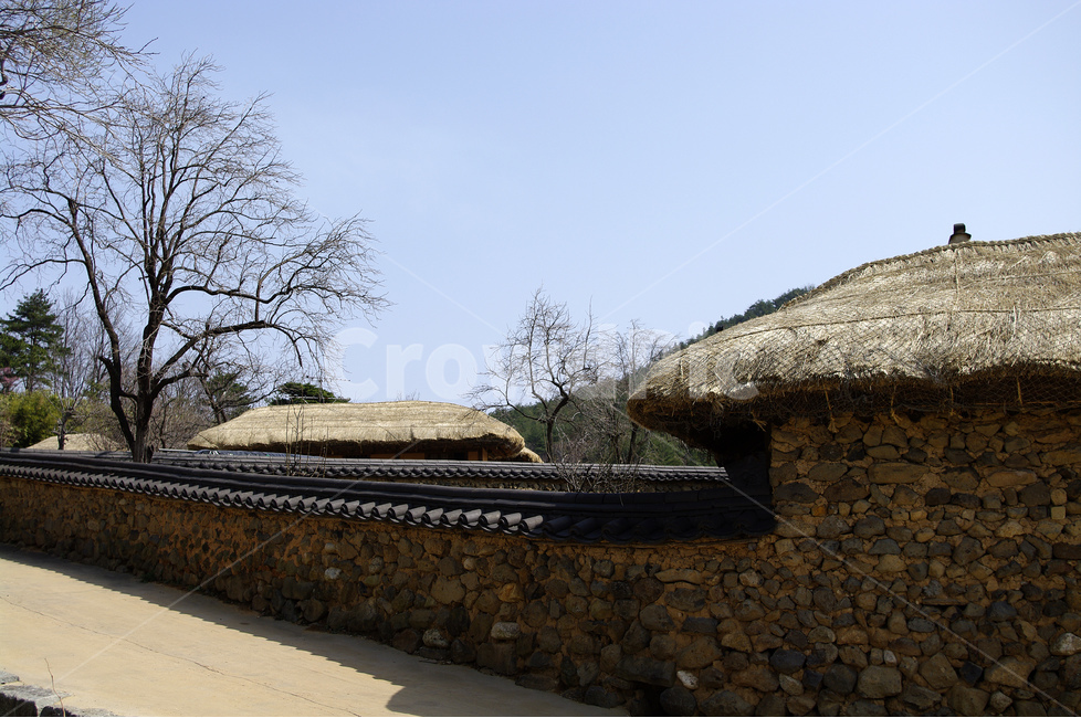 지붕,한국,전통가옥,왕곡마을,시골,마을,흙담,담장,담,초가집,시골,마을,풍경,landscape,country,rural,town,한국전통,한국문화,korean traditional,korean culture,건축물,건물외관,exterior,building,structure,architecture,construction