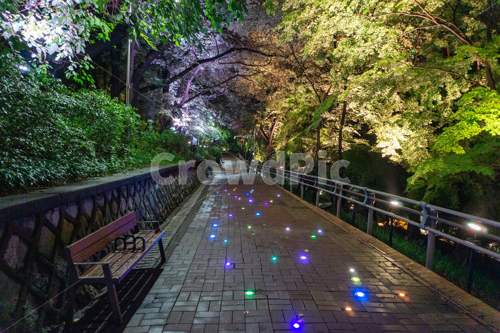자유공원,산책,야경,벤치,공원,의자,bench,chair,prak,길,산길,숲,숲길,오솔길,수풀,나무,자연,led,조명,tree,통행로,path,nature