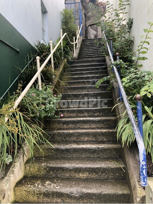 계단,난간,staircase,handrail,야생초