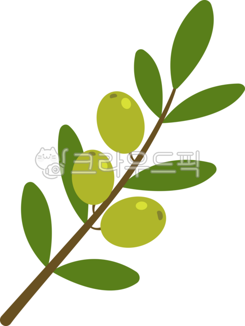 Olives,plants,fruit,olive fruit,olive image,olive illustration,green olives,olive tree,green olives,olive tree branches,fruit,ingredients,natural foods,Mediterranean diet,healthy food,tree fruit,crops,harvest,cooking ingredients,salad i