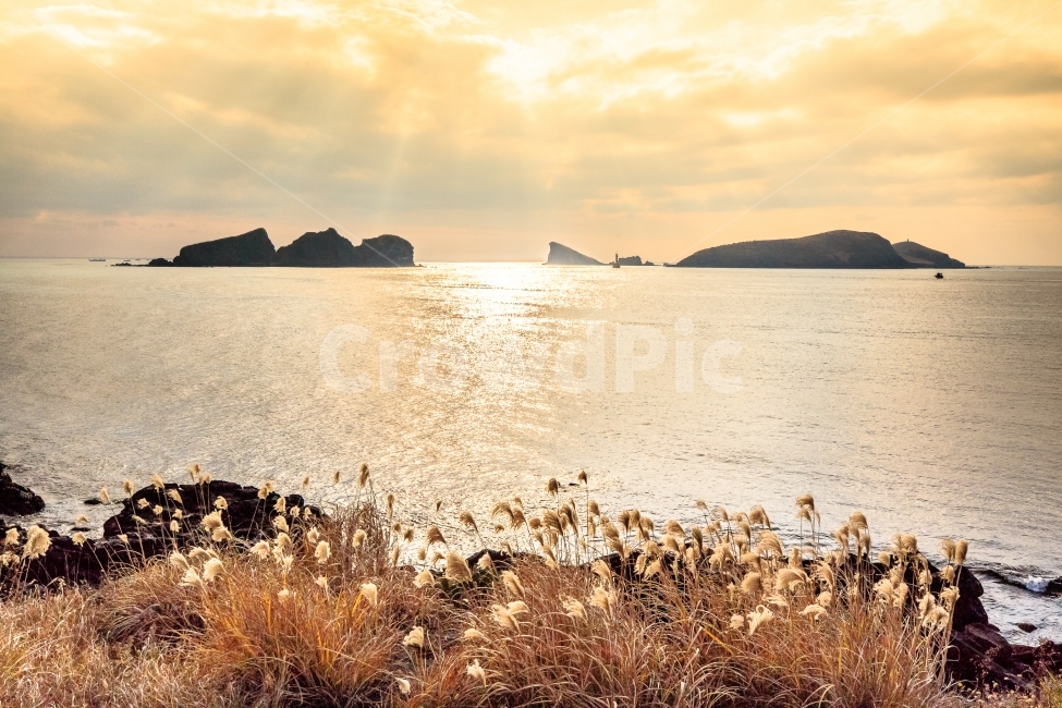 제주도,가을제주,차귀도,석양,올레길,자연,풍경,nature,landscape,한국자연풍경,한국자연경관,korea nature landscape,제주도,jeju,jeju island,land,땅,outdoors,옥외,promontory,곶,water,물,shoreline,해안선,sea,바다,ocean,대양