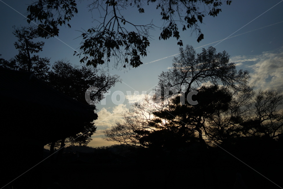 노을,나무,구름,해질녘,그림자,평온,자연,풍경,nature,landscape
