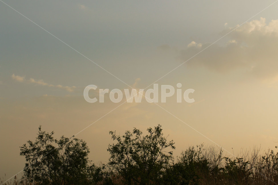 풍경,나무,하늘,감성배경,경치,분위기,자연풍경,sky,nature,landscape
