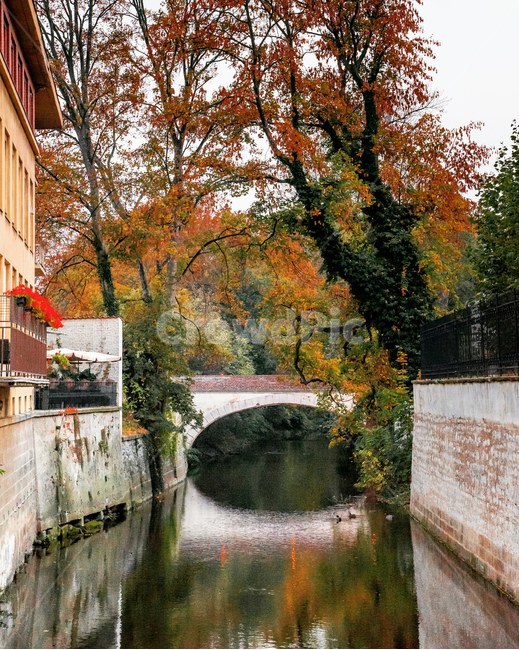 단풍,낙엽,가을,maple,fall,tree,prague,프라하,체코,블타바강,호수,나무,가을,계절,fall,autumn,season,자연,풍경,nature,landscape,architecture,건축물,building,건물,castle,성,water,물,fort,요새,outdoors,옥외,ditch,도랑